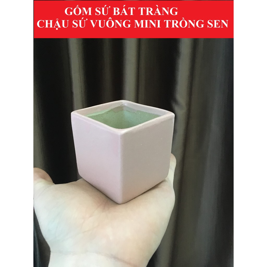 Chậu sứ vuông mini 7x7cm trồng sen, xương rồng, cây văn phòng