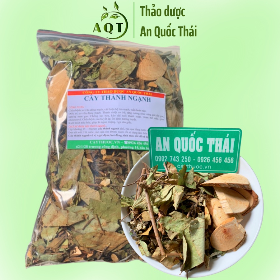 Cây Thành Ngạnh (Cây Đỏ Ngọn, Lành Ngạnh) Khô, Sạch Cải Thiện Chứng Teo Não, Trí Nhớ Kém (Alzheimer)