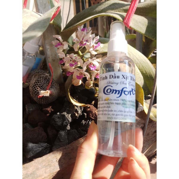 Tinh dầu xịt thơm Comfort
