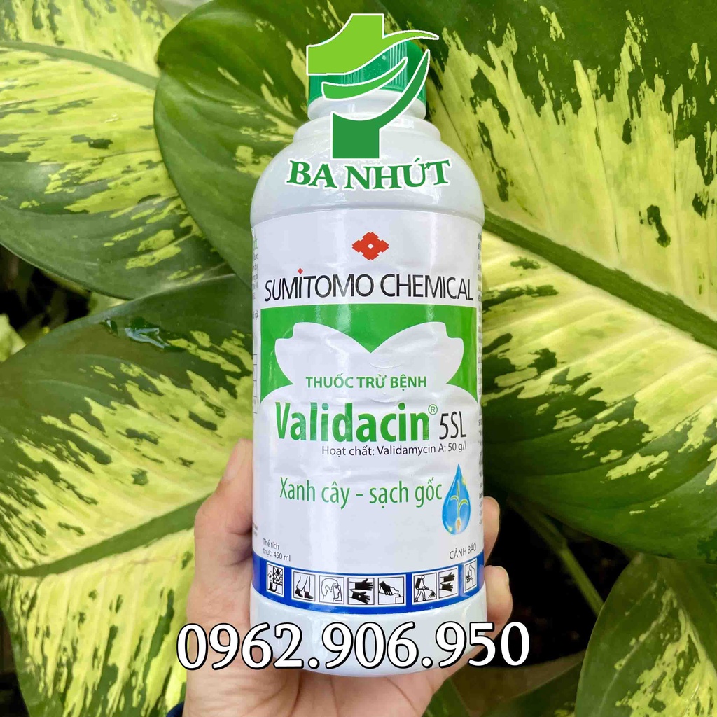 Chế Phẩm Trừ Bệnh VALIDACIN 5SL Chai 450ml Chính Hiệu Nhật Bản
