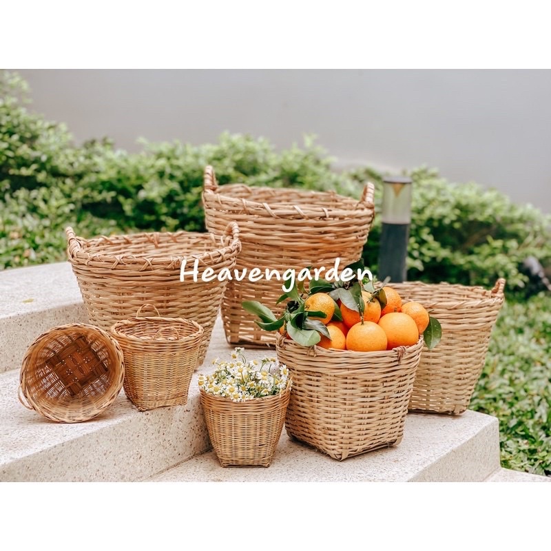 Cần xé decor, trồng cây vintage