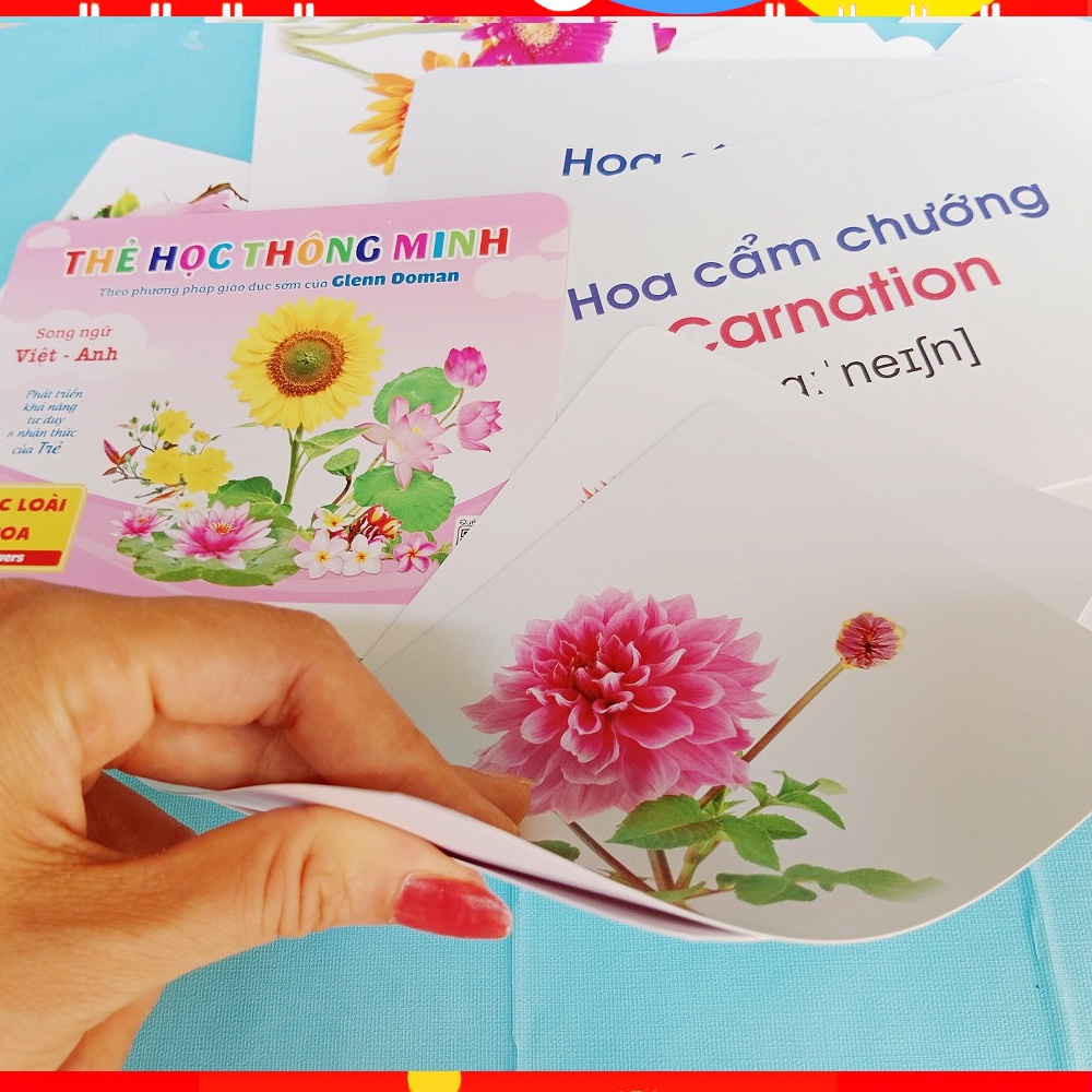 Set 17 Thẻ học song ngữ cho bé- LOÀI HOA (có mã quét QR dạy cách đọc)