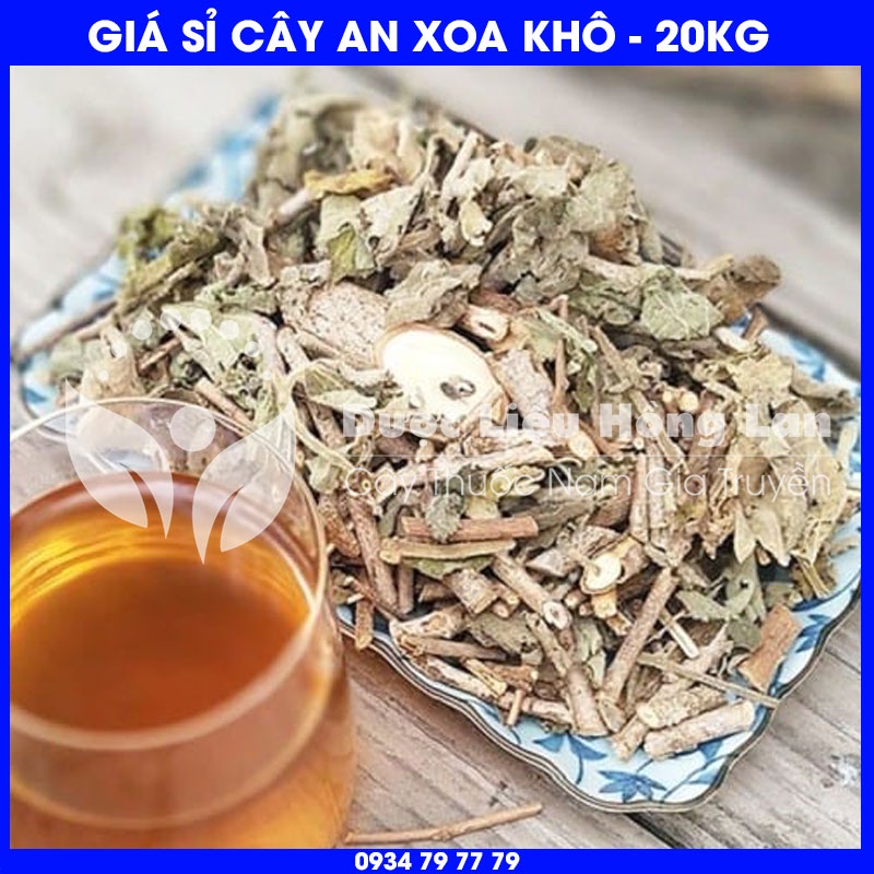 Cung cấp sỉ CÂY AN XOA khô giá bán 20kg - Công ty dược liệu Hồng Lan