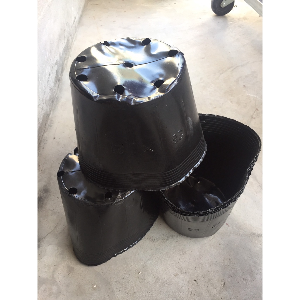 BẦU ƯƠM CÂY 26*21 DÀY VÀ MỎNG ( DỊCH TRUYỀN CHO CÂY, KÍCH RỄ , MẦM CÂY XANH LÁ, LƯỚI CHE NẮNG...)