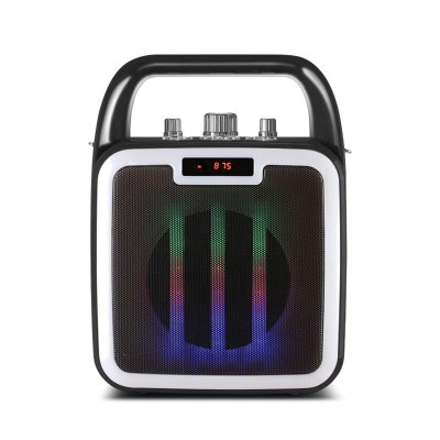 Loa Vision VSP CV-311