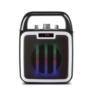 Loa Vision VSP CV-311