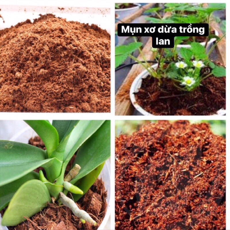 100g  Mụn xơ dừa đã qua xử lý, giá thể tròng cây trồng rau, chuyên dùng cho lan, giữ ẩm tạo độ tơi xốp cho đất, nảy mầm
