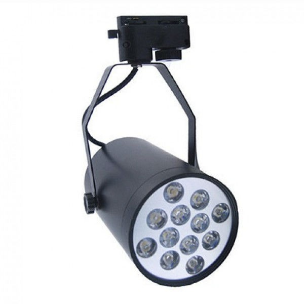 COMBO 3 Đèn chiếu điểm pha ray 12W