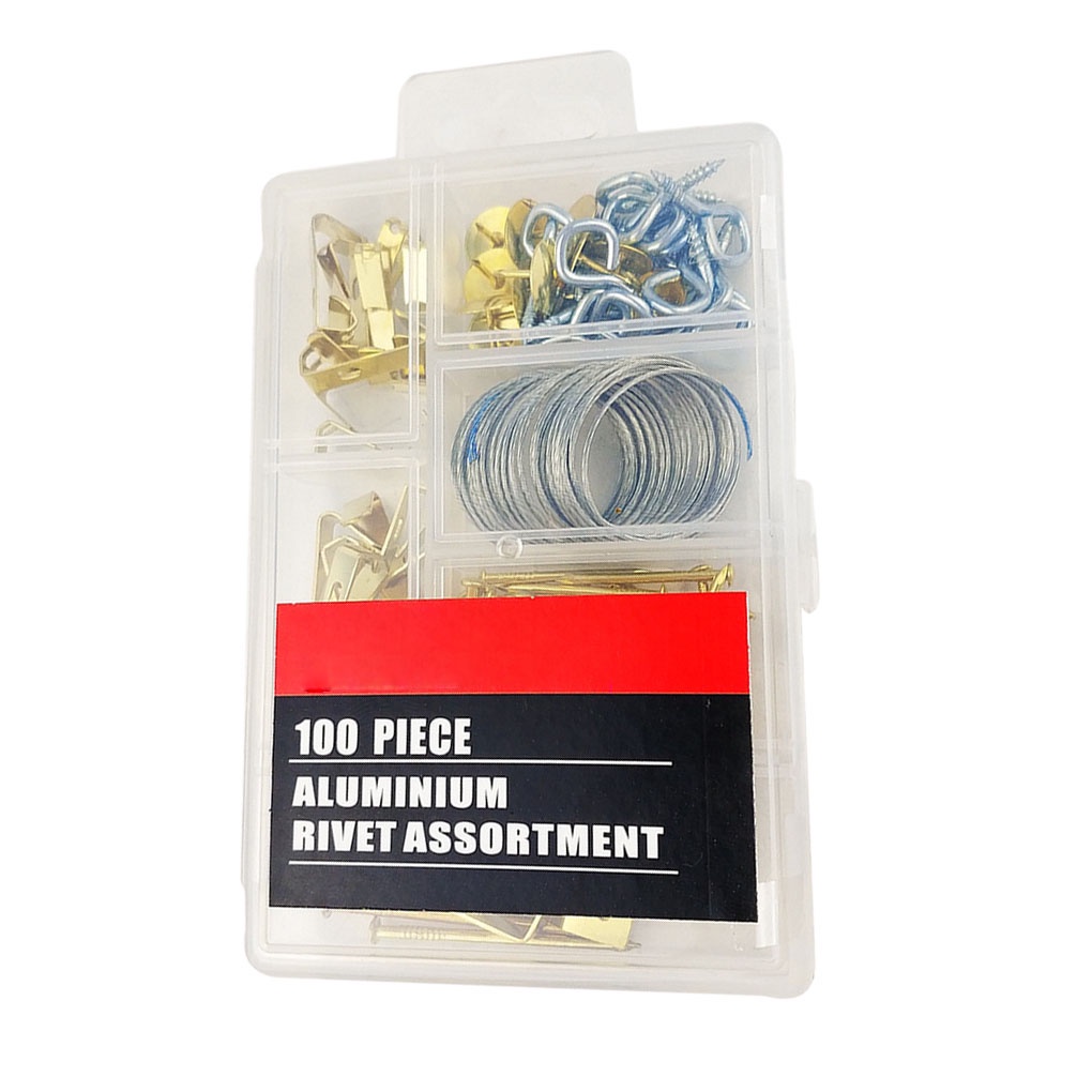 [Coco] 100pcs Picture Hanging Kit Wooden Frame Wall Mounting Hooks Nails Picture Hanging Wire Kit