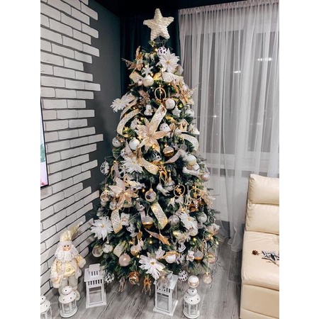Cây Thông Noel ,Cây dày lá loại đặc biệt Tán Rộng, Dày cao  90 - 180cm