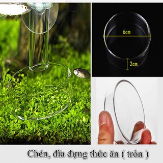 Chén, đĩa thức ăn cho cá, tép