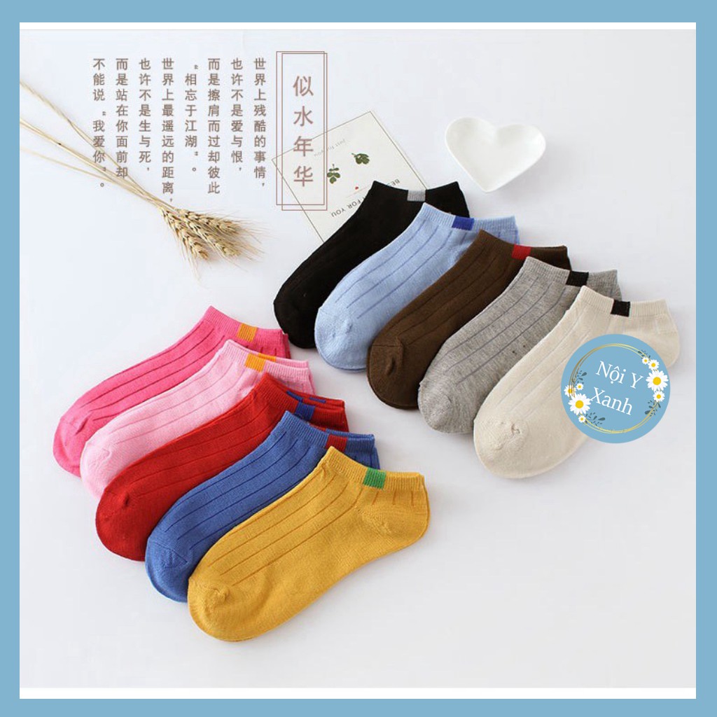 Set 10 đôi tất gân Vintage cổ ngắn Hot trend giá tốt