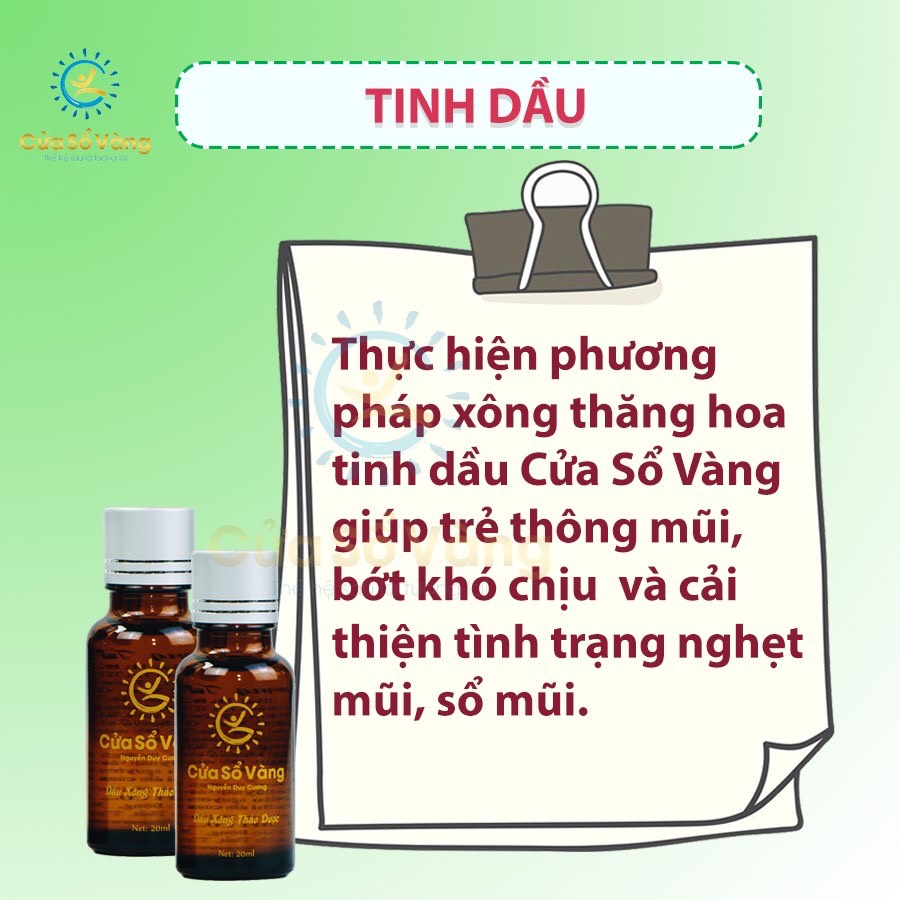 COMBO 10 Tinh Dầu Xông ,tinh dầu Thảo Dược Cửa Sổ Vàng 20ml/chai