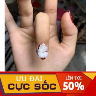 Hoa ly đá - Hoa bột nail mẫu mới