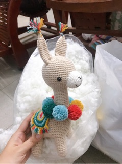Lạc đà alpaca len - picapau