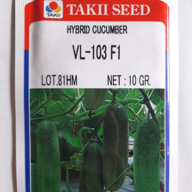 HẠT GIỐNG DƯA LEO VL-103 F1