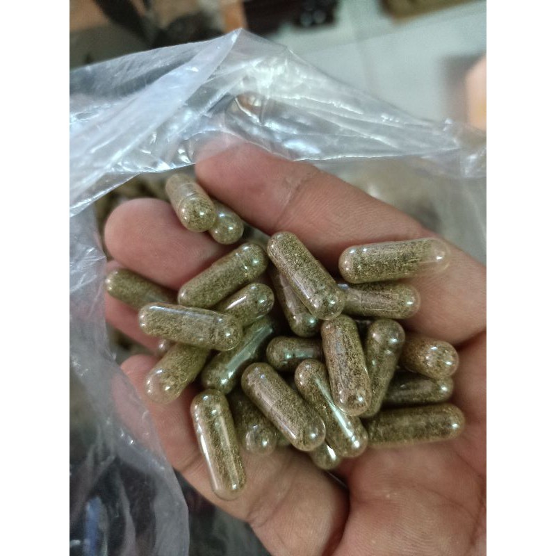 ARTERMIA NƯỚC NGỌT , ARTERMIA VIÊN , ARTERMIA NUÔI SINH KHỐI