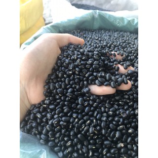 ĐẬU ĐEN LÒNG XANH HẠT NHỎ
