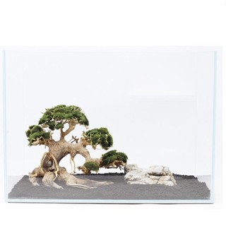 Lũa Bonsai Trang Trí Bể Thuỷ Sinh, Cá Cảnh