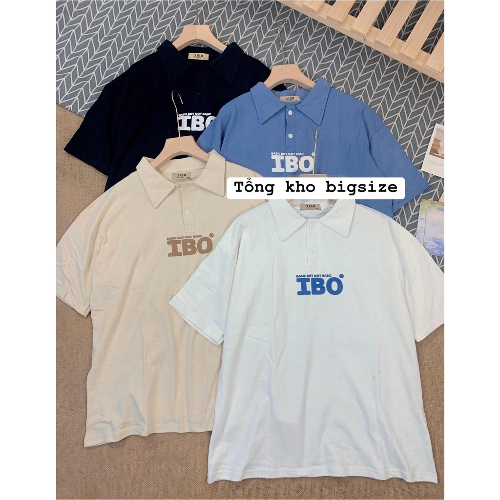 [Bigsize] Áo Polo iBO chất thun cotton khô thấm hút mồ hôi freesize v1 120cm