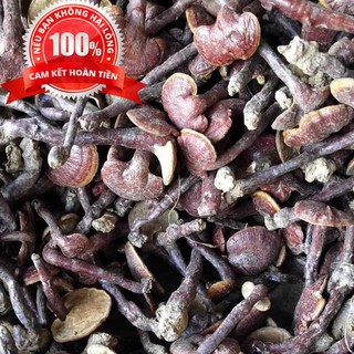 200g nấm linh xanh