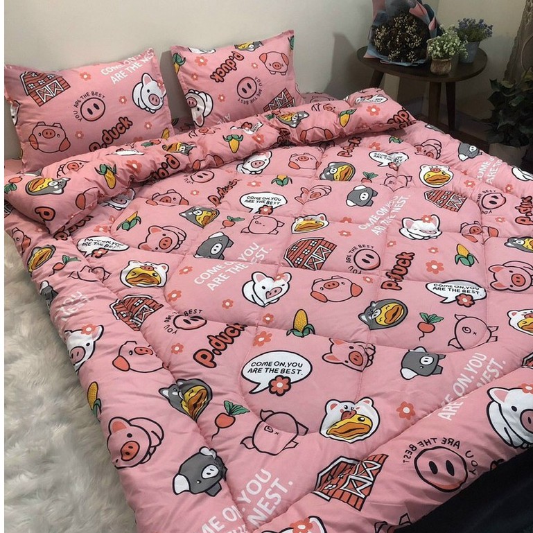 Bộ 5 món Chăn Phao Ga Gối Poly trần bông chăn phao ấm áp cho mùa đông