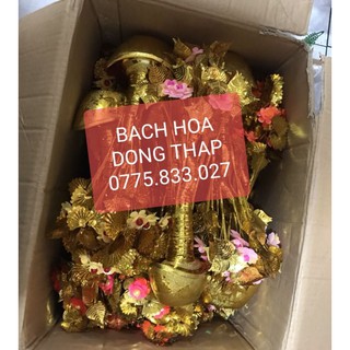CÂY CÀNH VÀNG LÁ NGỌC