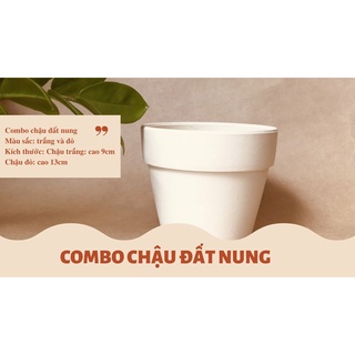 Combo chậu đất nung