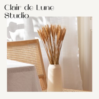 [VIDEO THẬT] Hoa khô Decor nhà cửa ❤️FREESHIP❤️ Hoa Lúa mạch khô  retro vinatge, trang trí