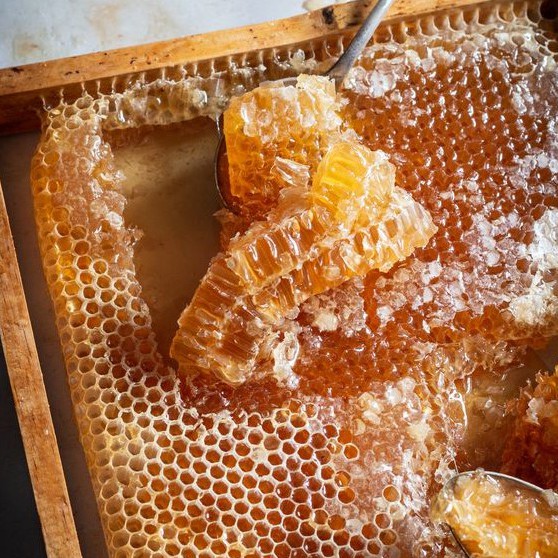 MẬT ONG NGUYÊN CHẤT Nội Địa 1400g - Thế Hồng Honey