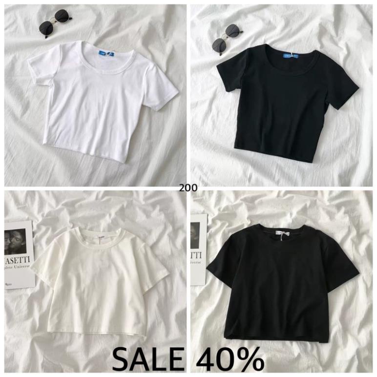 CROPTOP SỐ 20