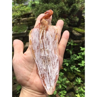Mực khô quảng ninh size 60-65 con 500g
