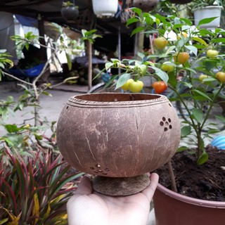 Chậu không hoa văn SIZE LỚN