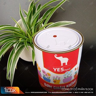 Sơn chậu cây cảnh-800g