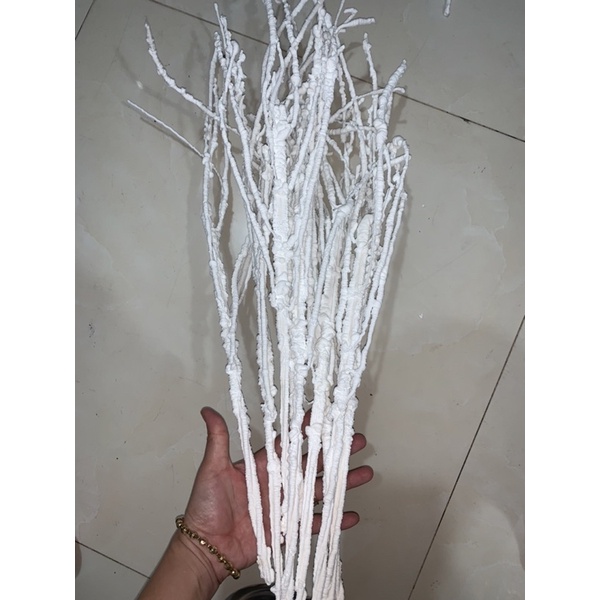 Cành tuyết dẻo trắng trang trí