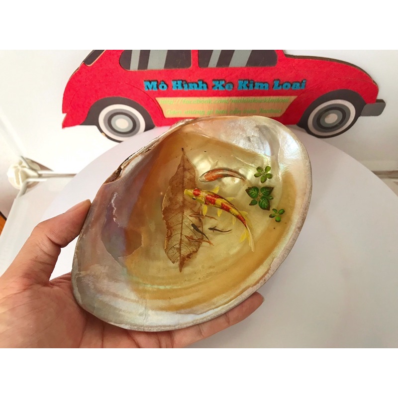 Mô hình Bể Cá vẽ 3D resin trong vỏ Trai lớn