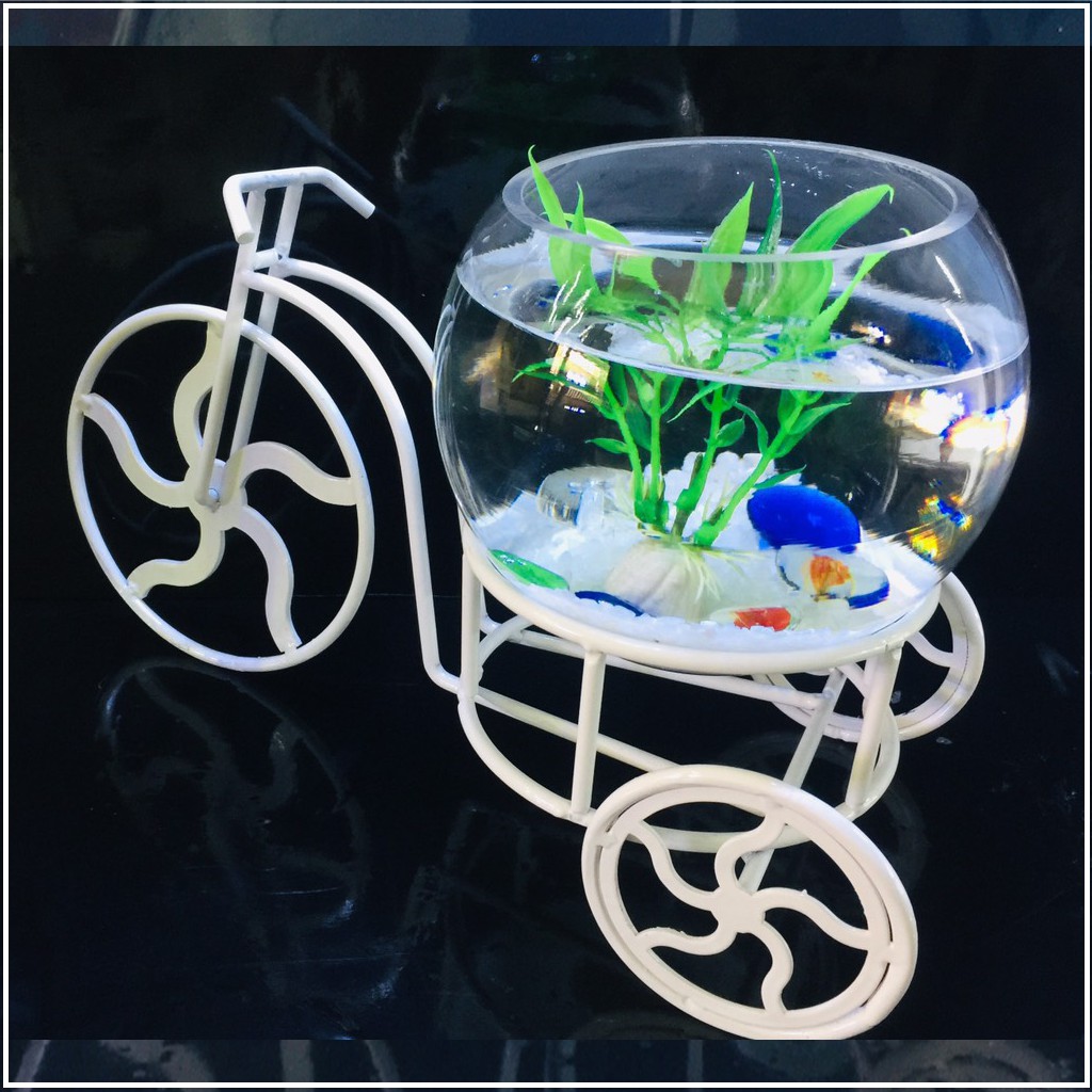Bể cá mini để bàn xe đạp