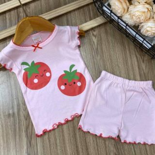 Combo 5bộ cotton dành cho bé gái