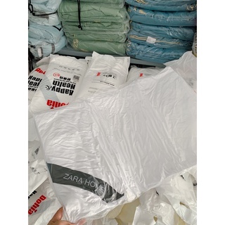 Ruột gối zara home