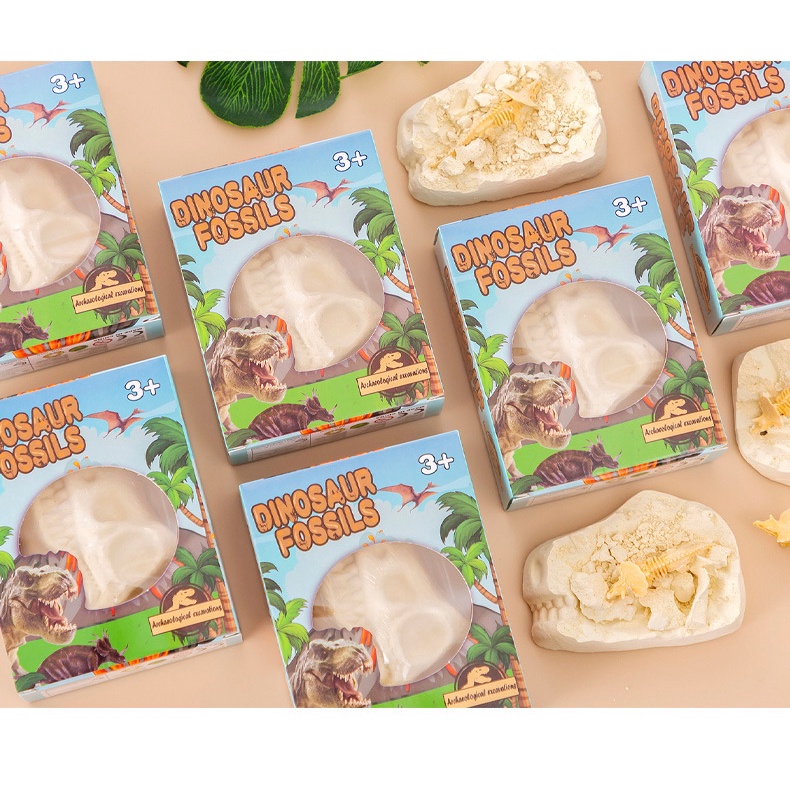 Mô Hình Trứng Khủng Long Hóa Thạch Xương Khủng Long DIY Cho Bé