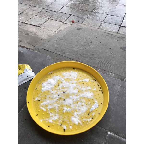 Thuốc diệt ruồi an toàn cho người sử dụng