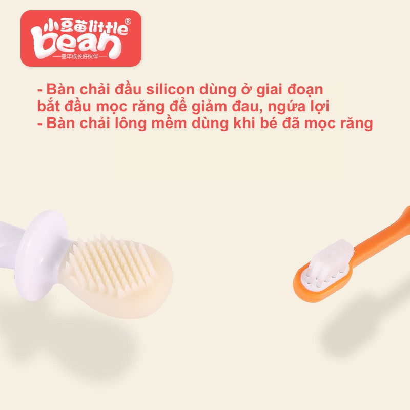 Bộ bàn chải tập đánh răng Little Bean