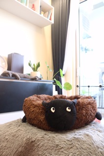 Nệm cho chó mèo hình cừu con (big size)