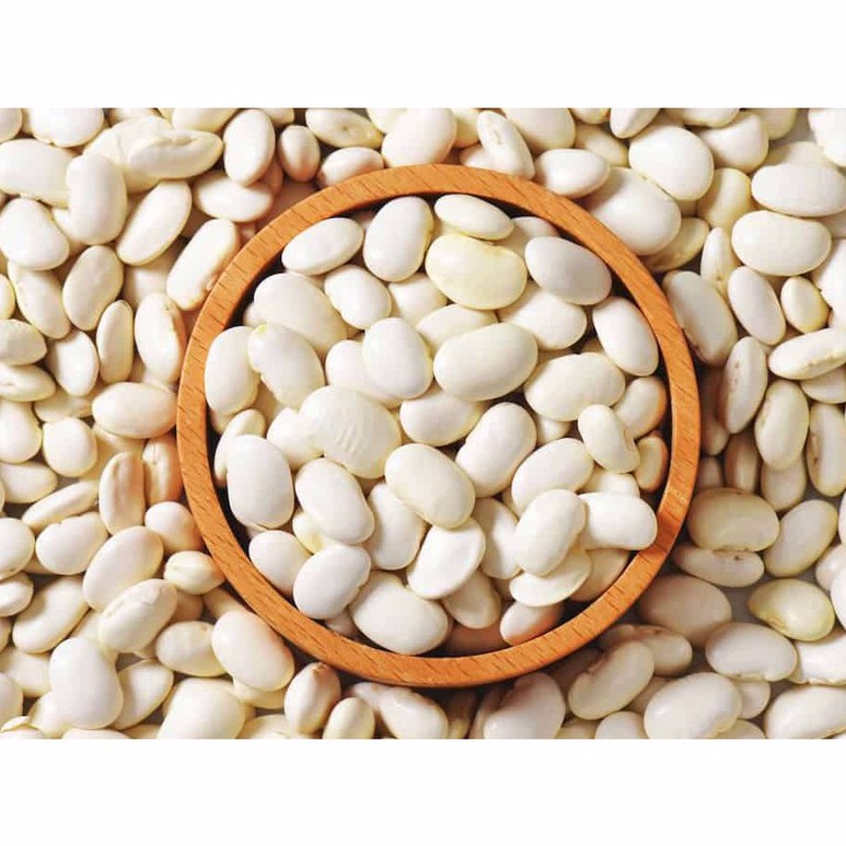 Đậu trắng hạt to