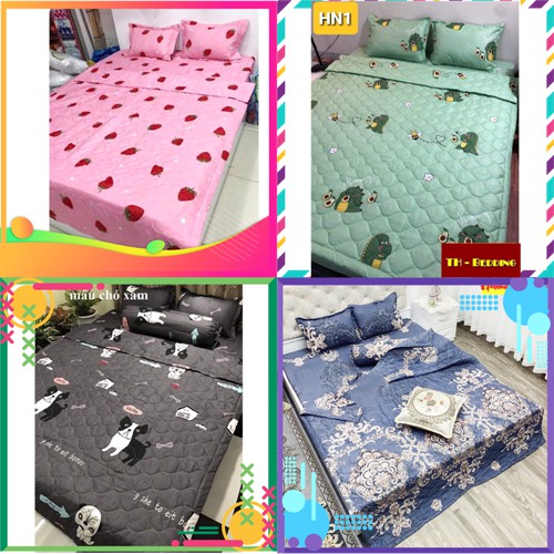 Chăn Ga Gối 5 Món Hè 2021 Với Nhiều Mẫu Mã Đa dạng cùng Chất Liệu Vải Cotton Poly Mềm Mịn mát
