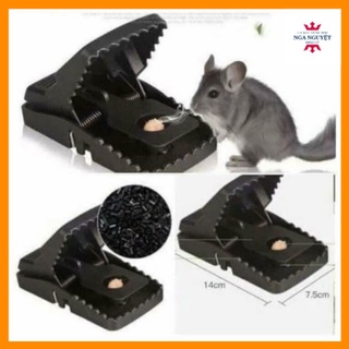 Bẫy chuột thông minh, kẹp chuột hiệu quả