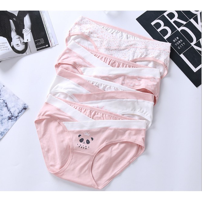 Quần lót bầu cạp chéo chất cotton túi zip cute (cs101)