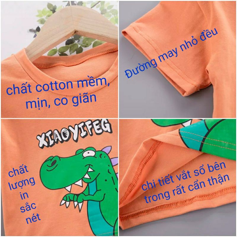 Áo Thun Cho Bé Trai Bé Gái Hình Khủng Long, Hình Gấu Cho Bé 8-18kg Chất Coton Siêu Mềm Mát Quần Áo Trẻ Em Hè 2021-5