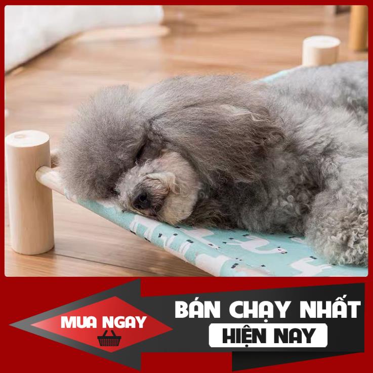 [ RẺ VÔ ĐỊCH ] Giường ngủ gỗ cao cấp dành cho thú cưng