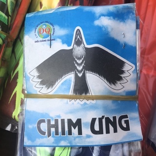Diều Chim ưng to